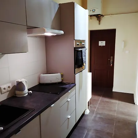 Beautiful With 1 Bedroom Main Square Appartement Cracovie